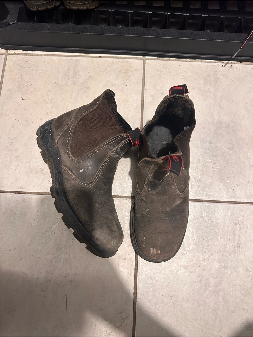 Redback Boots Men's Dark Brown Leather Chukka Work Boots with Red Accents